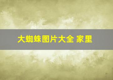 大蜘蛛图片大全 家里